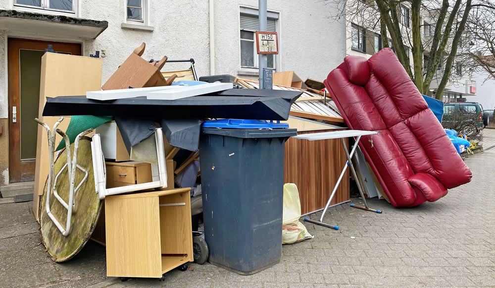 Leave the Junk to Us!